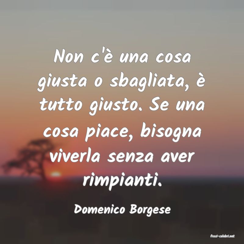 frasi di  Domenico Borgese

