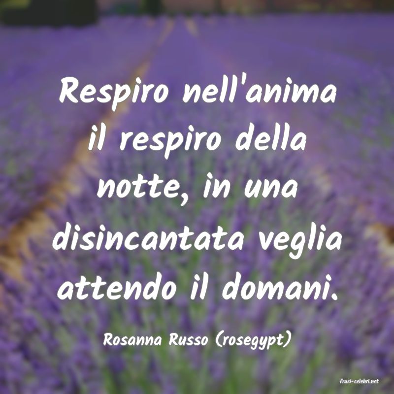 frasi di  Rosanna Russo (rosegypt)
