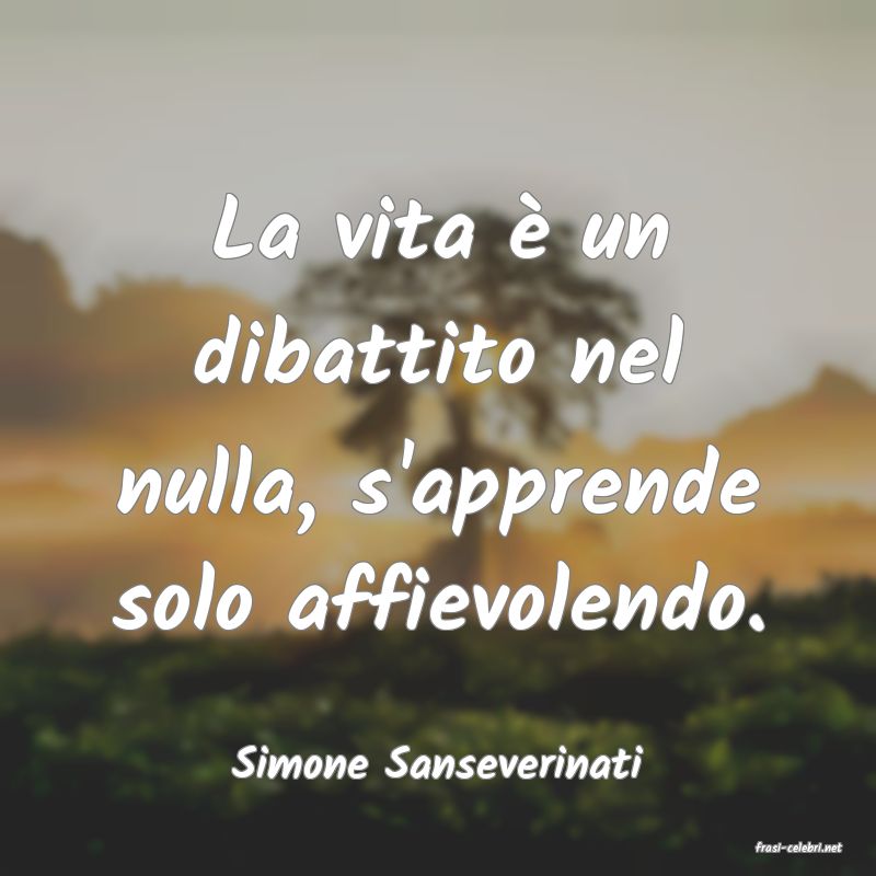 frasi di  Simone Sanseverinati
