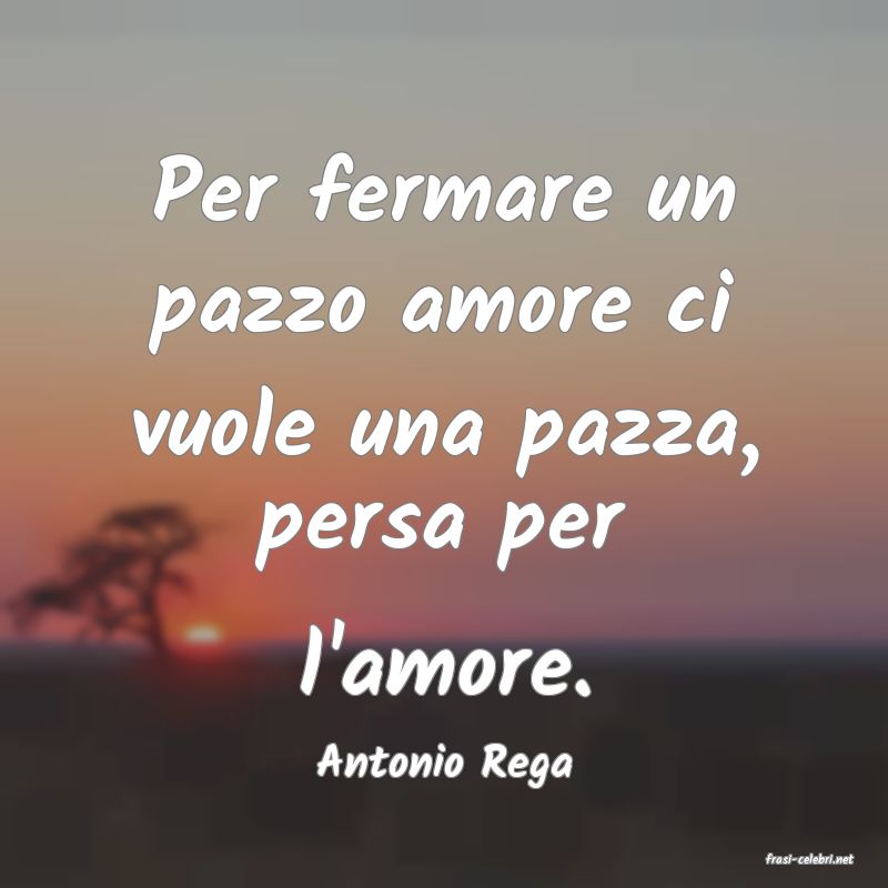 frasi di  Antonio Rega
