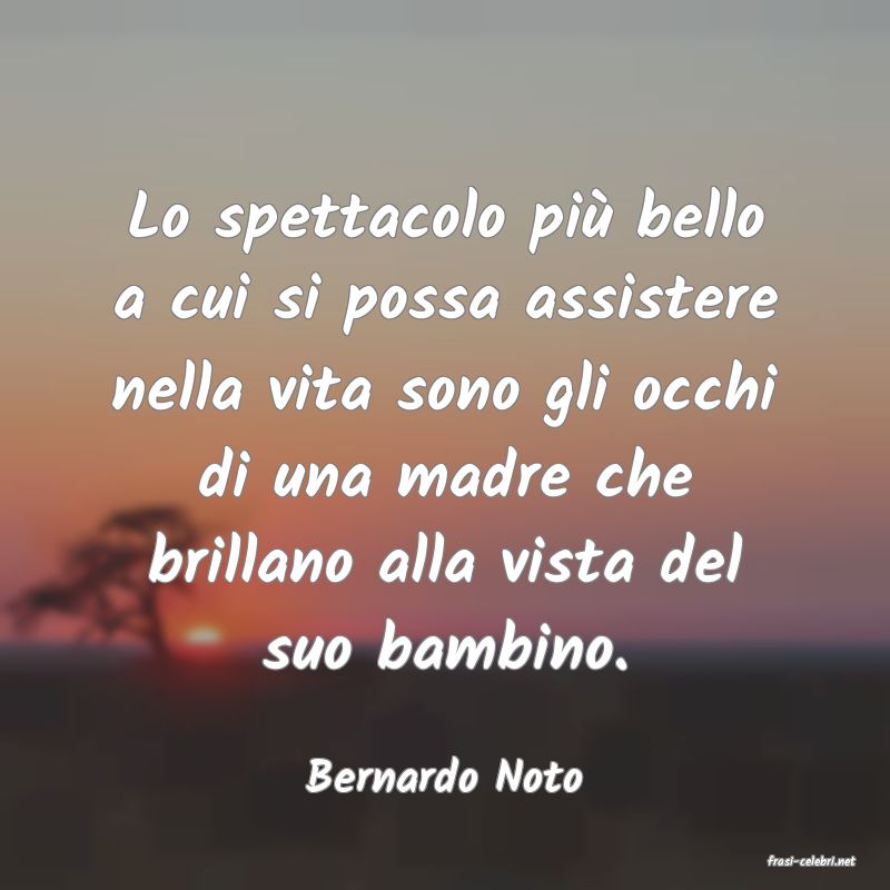frasi di  Bernardo Noto
