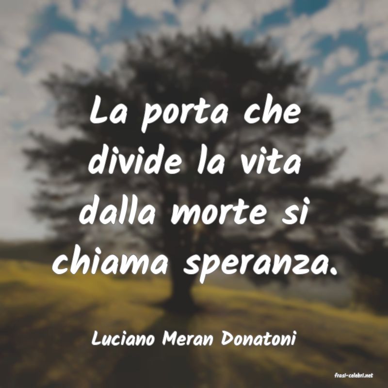 frasi di  Luciano Meran Donatoni
