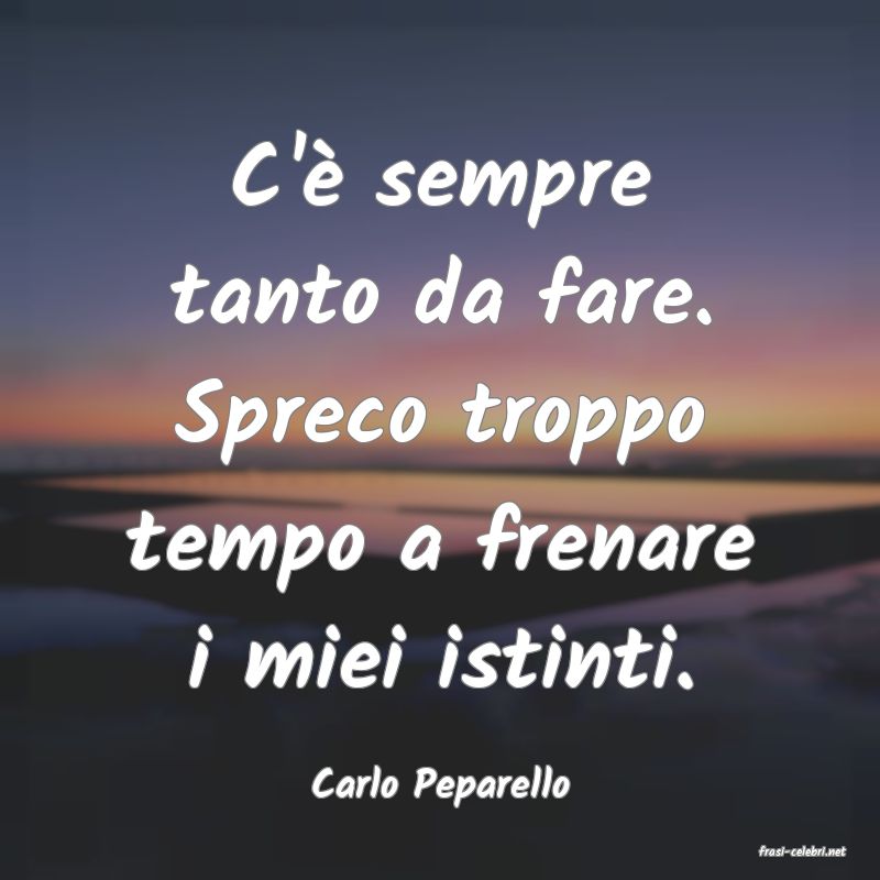 frasi di Carlo Peparello