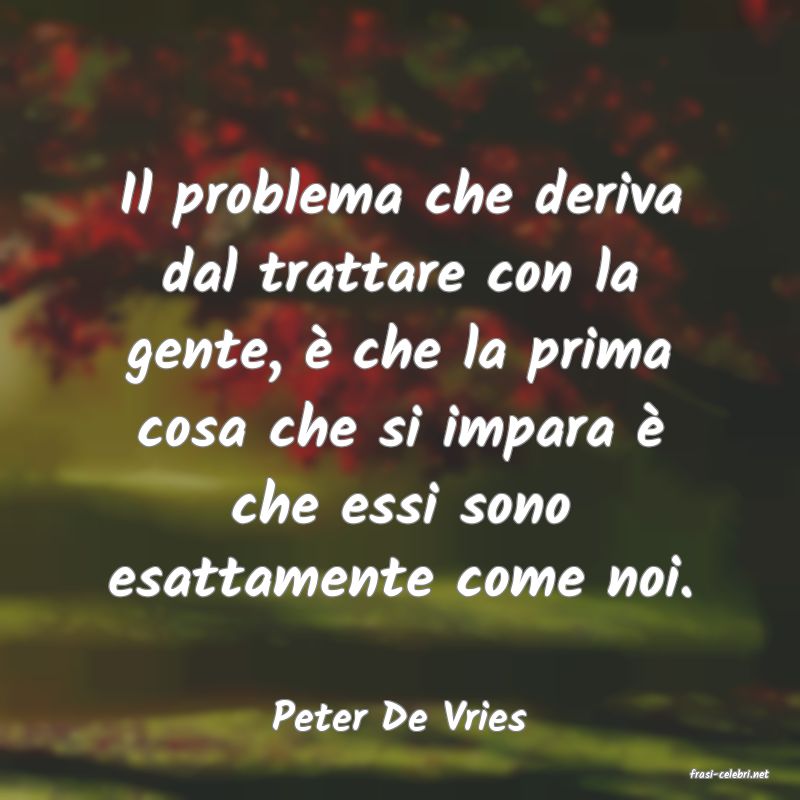 frasi di Peter De Vries