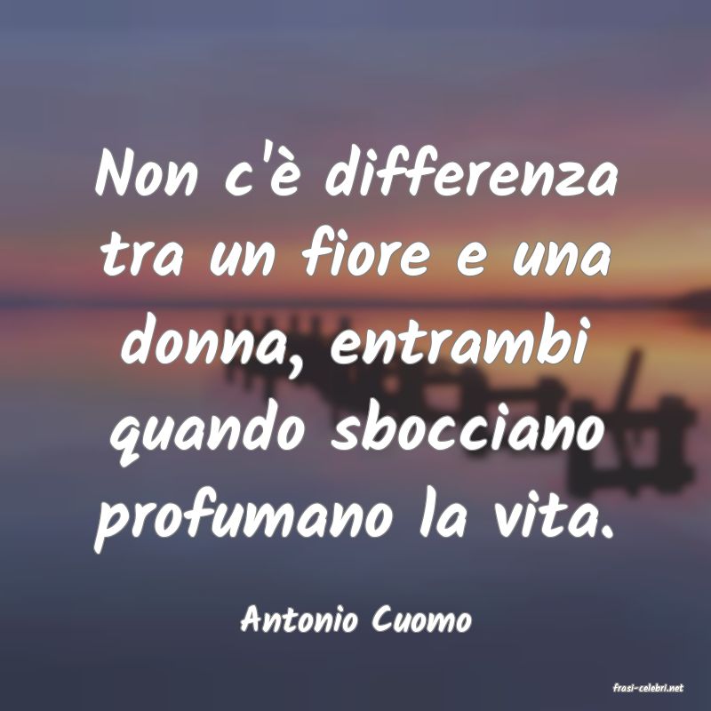 frasi di  Antonio Cuomo
