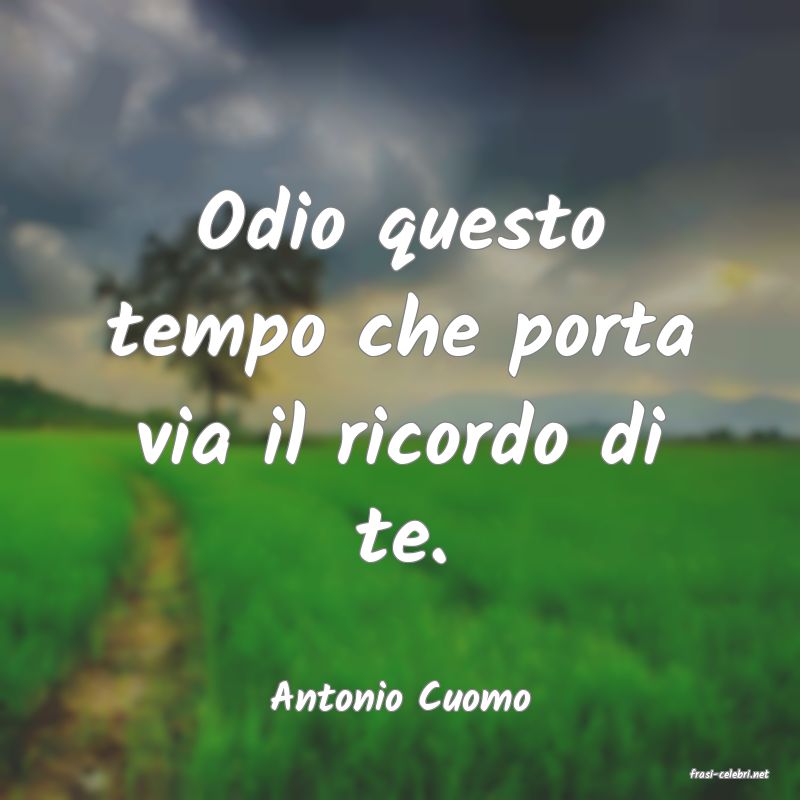 frasi di  Antonio Cuomo
