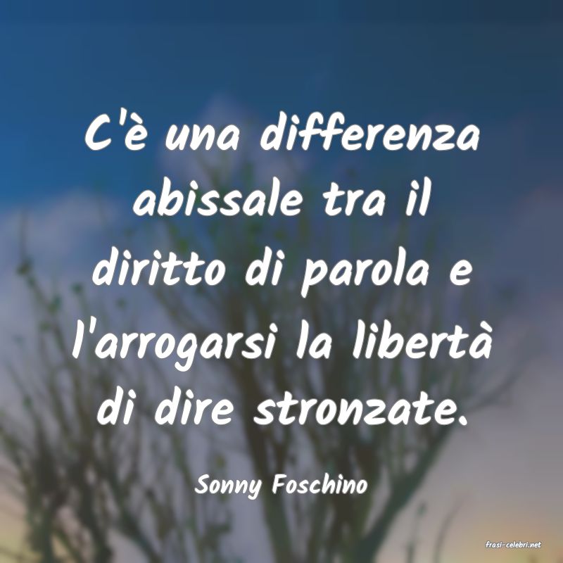 frasi di  Sonny Foschino
