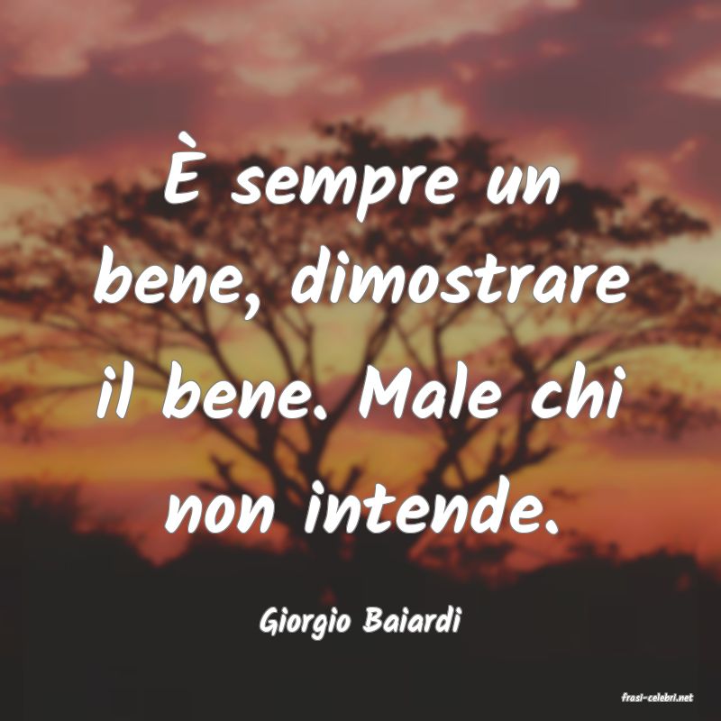 frasi di  Giorgio Baiardi
