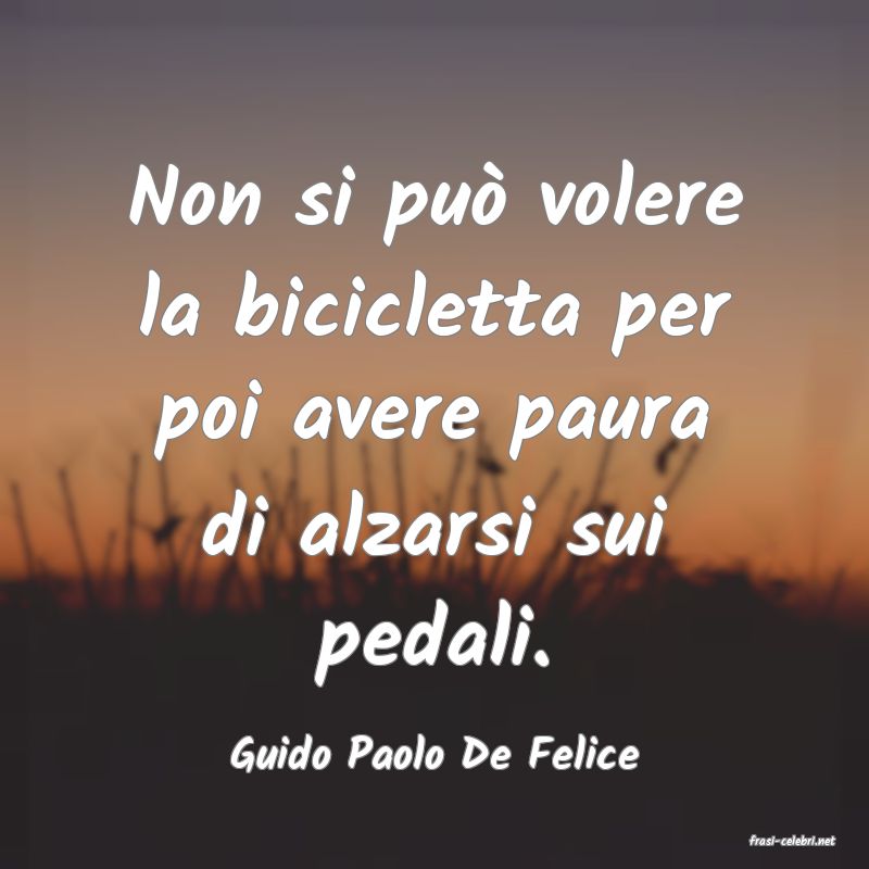frasi di  Guido Paolo De Felice
