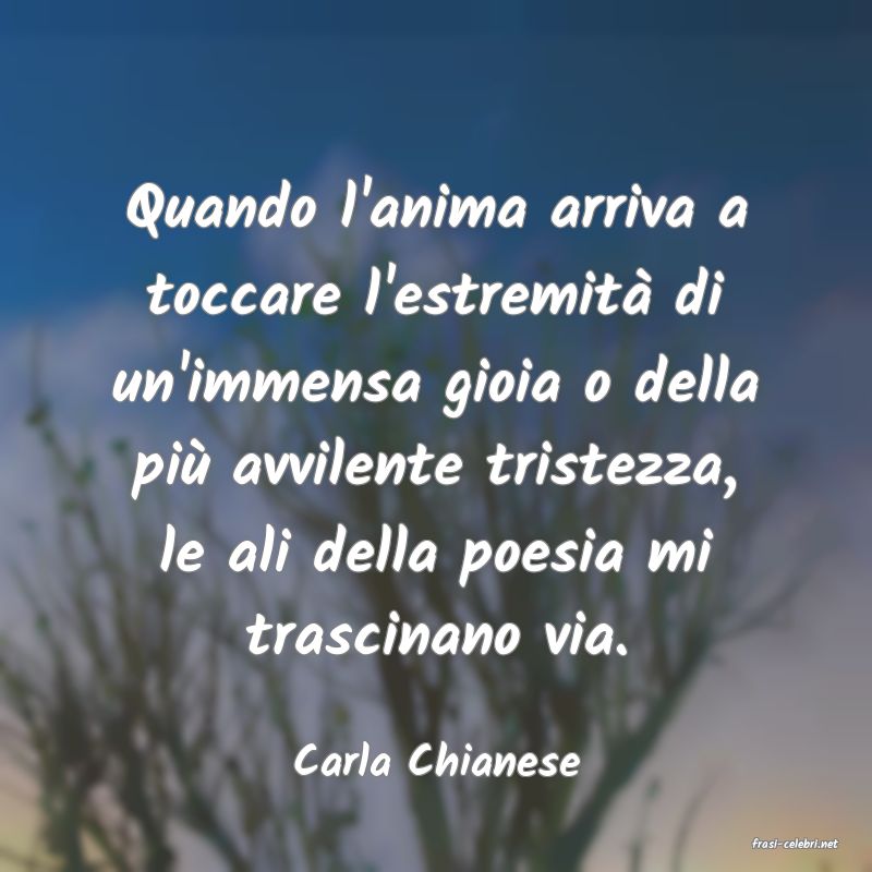 frasi di  Carla Chianese

