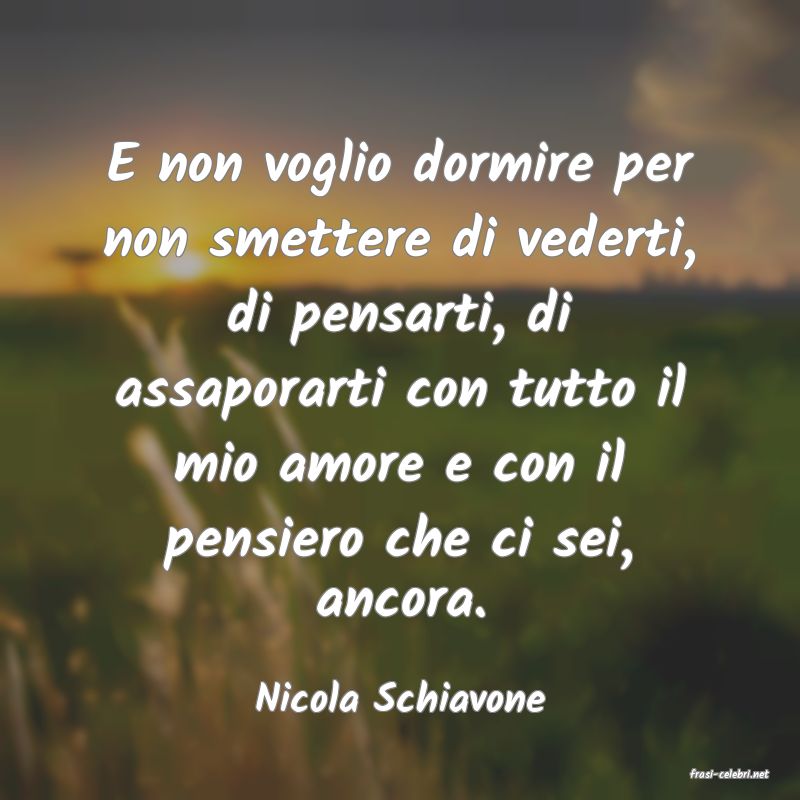 frasi di  Nicola Schiavone
