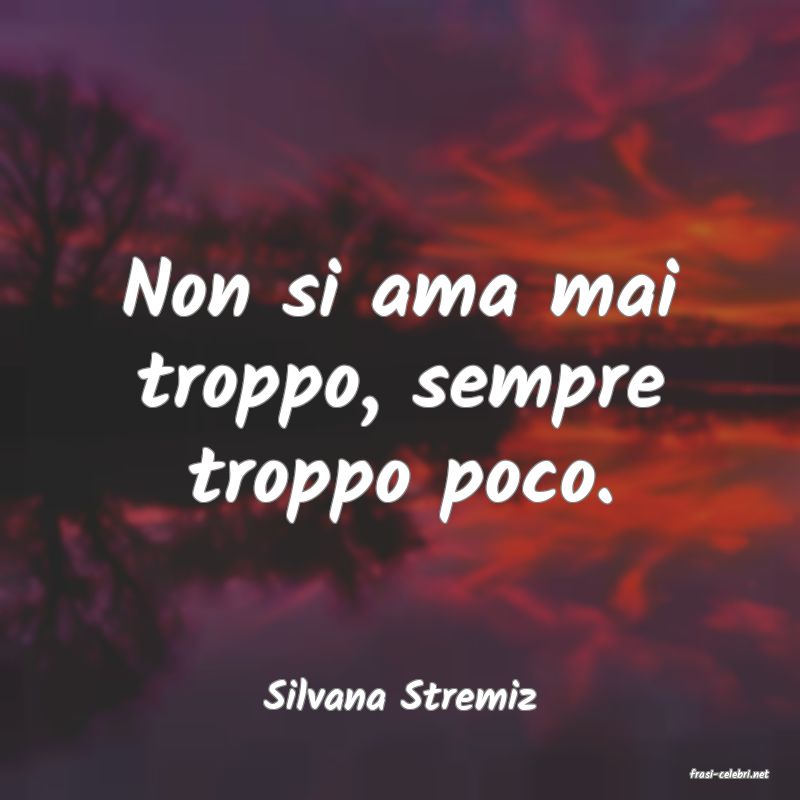 frasi di  Silvana Stremiz
