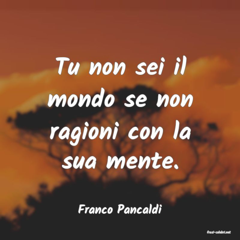 frasi di  Franco Pancaldi
