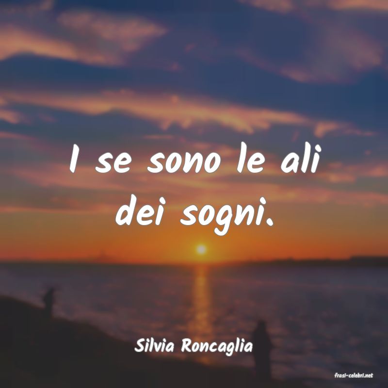 frasi di Silvia Roncaglia