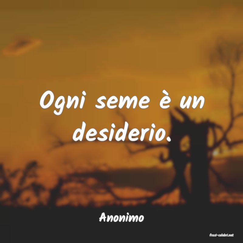 frasi di Anonimo
