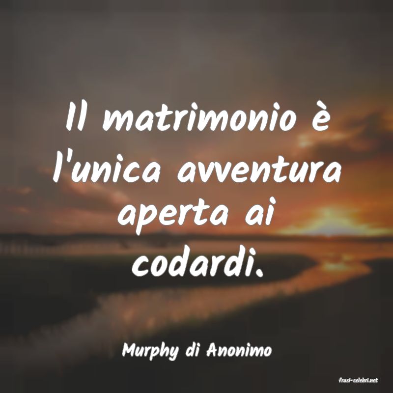 frasi di Murphy di Anonimo