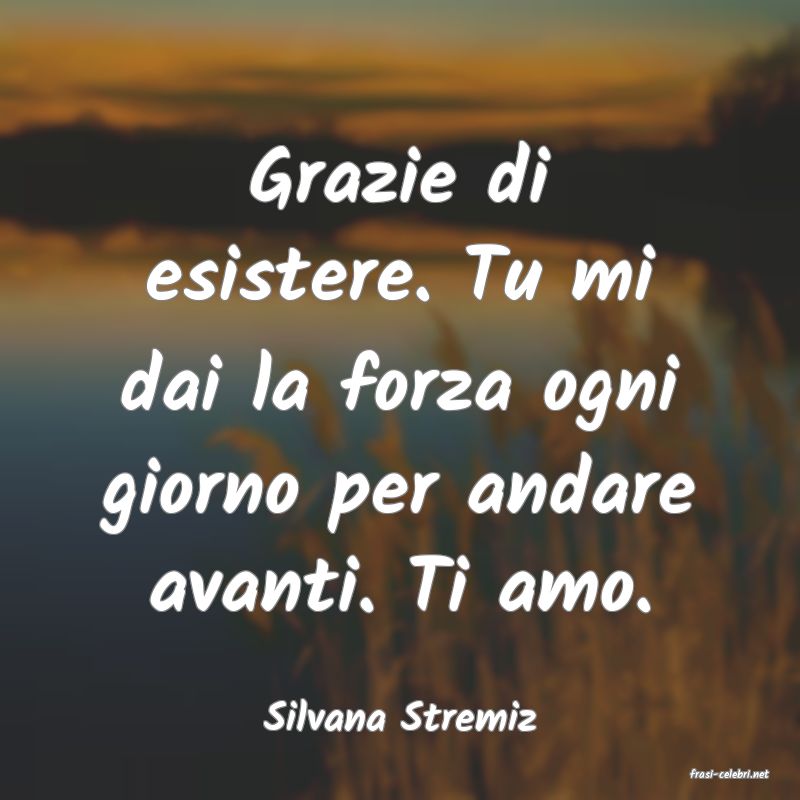 frasi di Silvana Stremiz