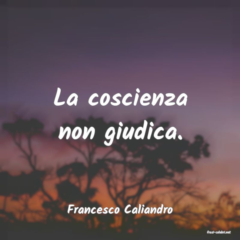 frasi di  Francesco Caliandro
