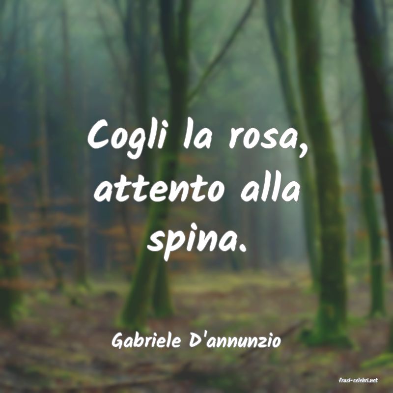 frasi di  Gabriele D'annunzio
