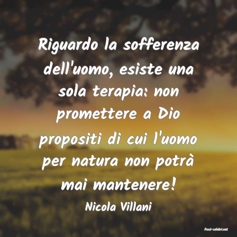 frasi di  Nicola Villani
