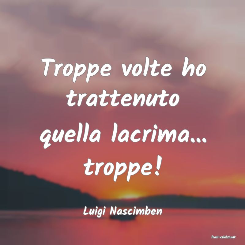 frasi di  Luigi Nascimben
