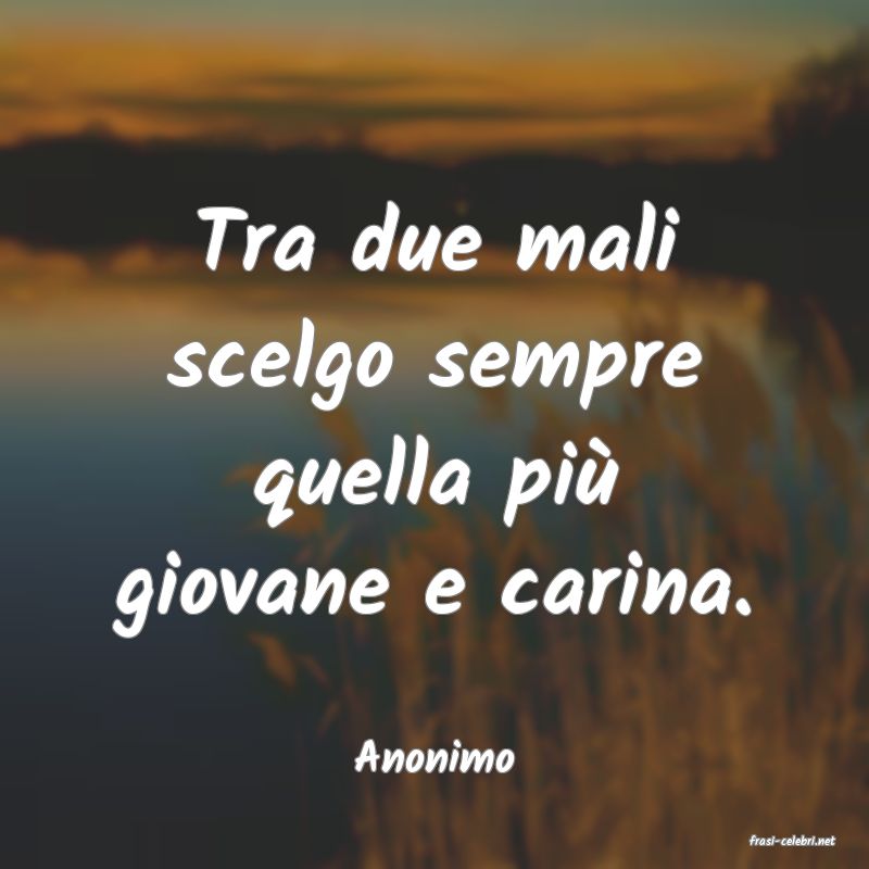frasi di  Anonimo
