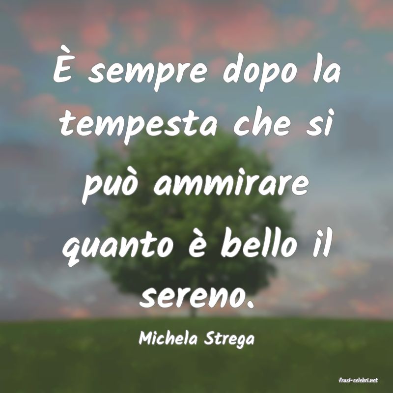 frasi di  Michela Strega
