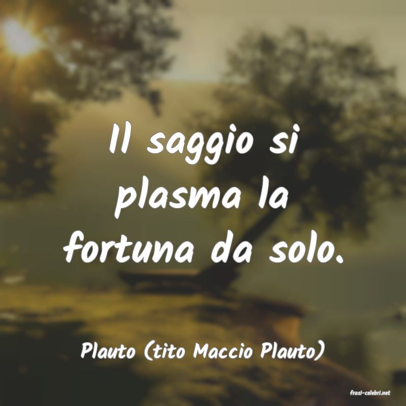 frasi di  Plauto (tito Maccio Plauto)
