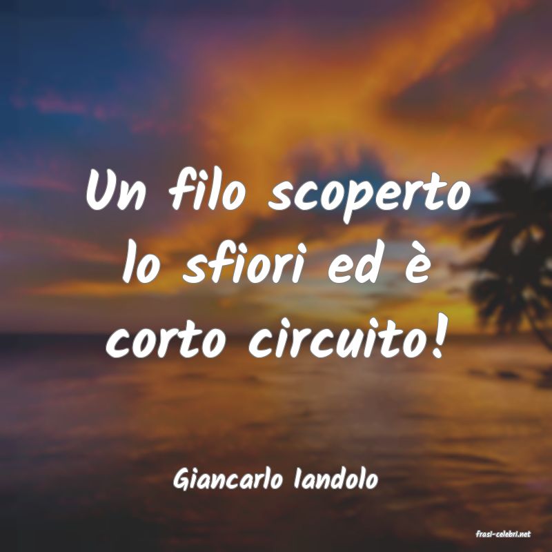frasi di  Giancarlo Iandolo
