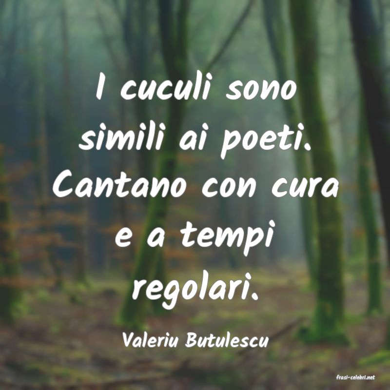 frasi di  Valeriu Butulescu
