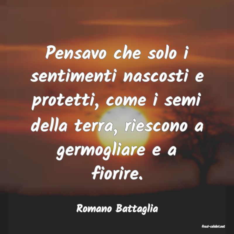 frasi di Romano Battaglia