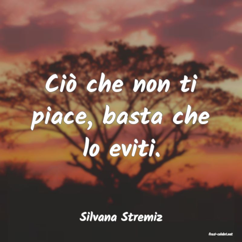 frasi di Silvana Stremiz