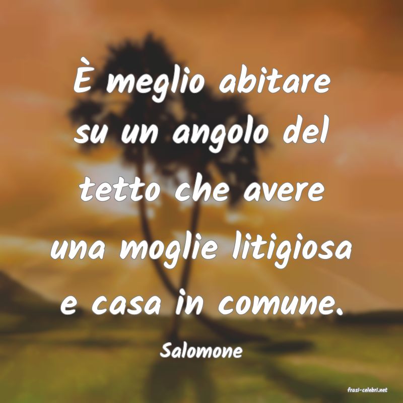 frasi di  Salomone

