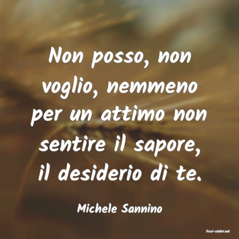 frasi di  Michele Sannino
