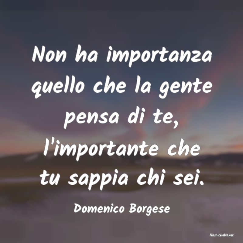 frasi di  Domenico Borgese
