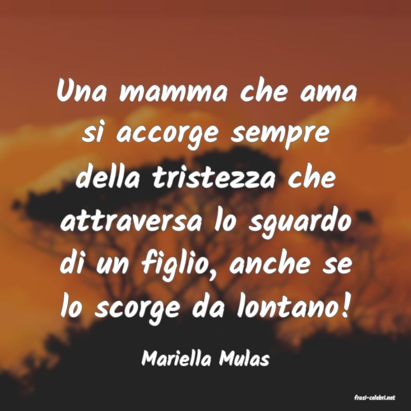 frasi di  Mariella Mulas
