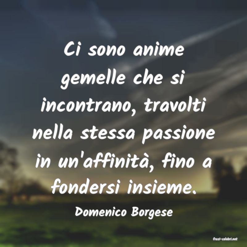 frasi di  Domenico Borgese
