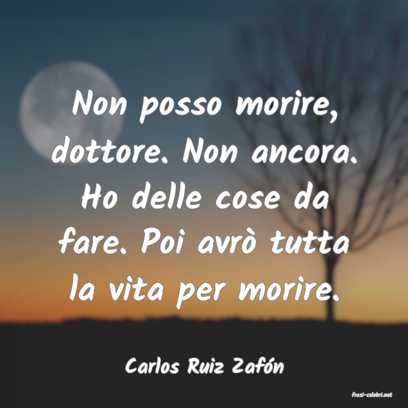 frasi di Carlos Ruiz Zafn
