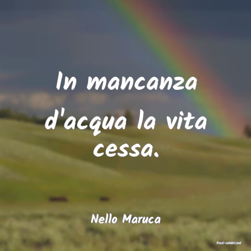 frasi di  Nello Maruca
