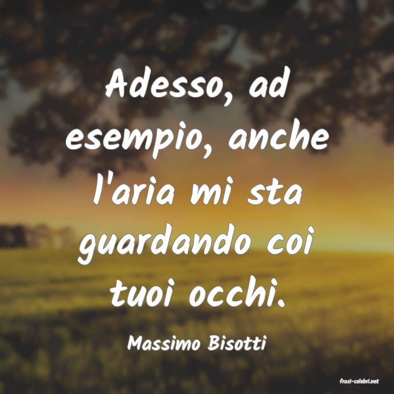 frasi di  Massimo Bisotti
