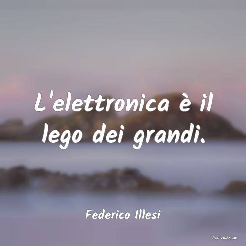 frasi di  Federico Illesi
