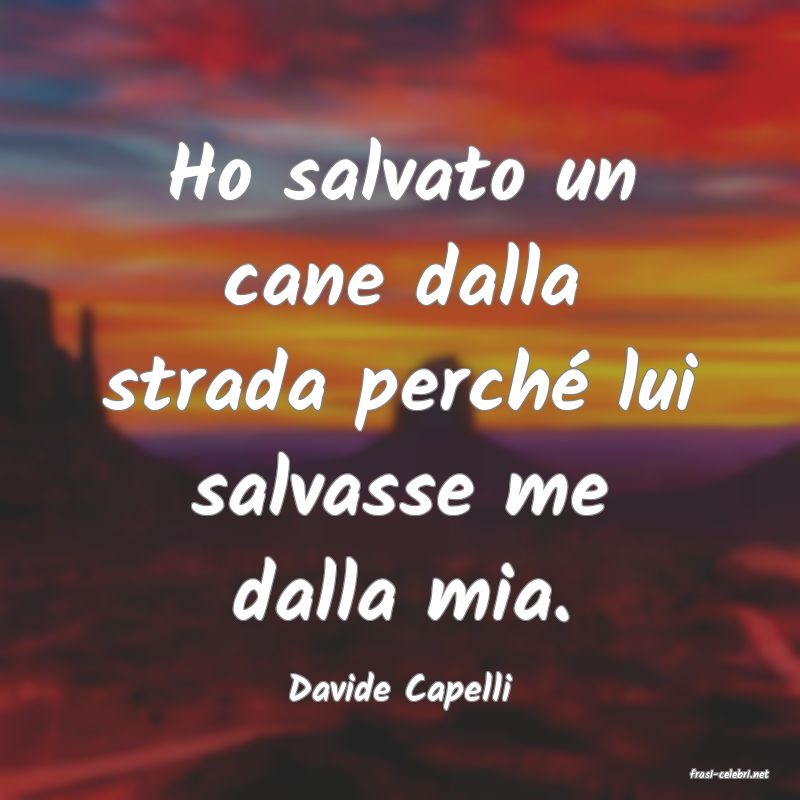 frasi di  Davide Capelli
