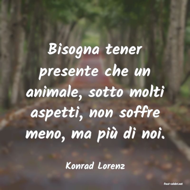 frasi di  Konrad Lorenz
