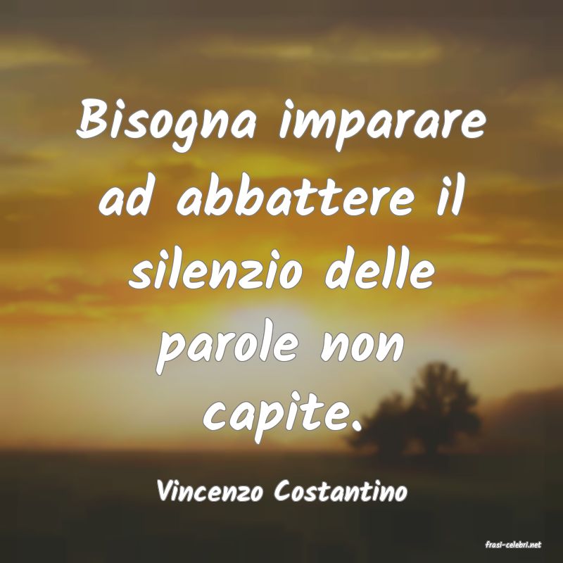 frasi di  Vincenzo Costantino
