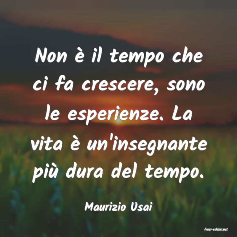 frasi di  Maurizio Usai
