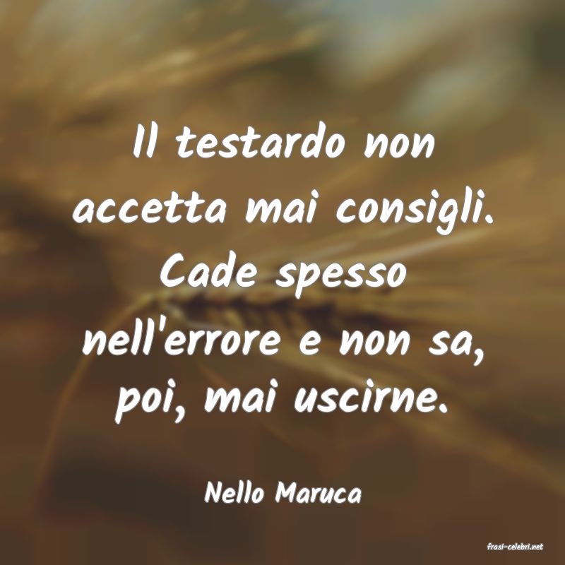 frasi di  Nello Maruca
