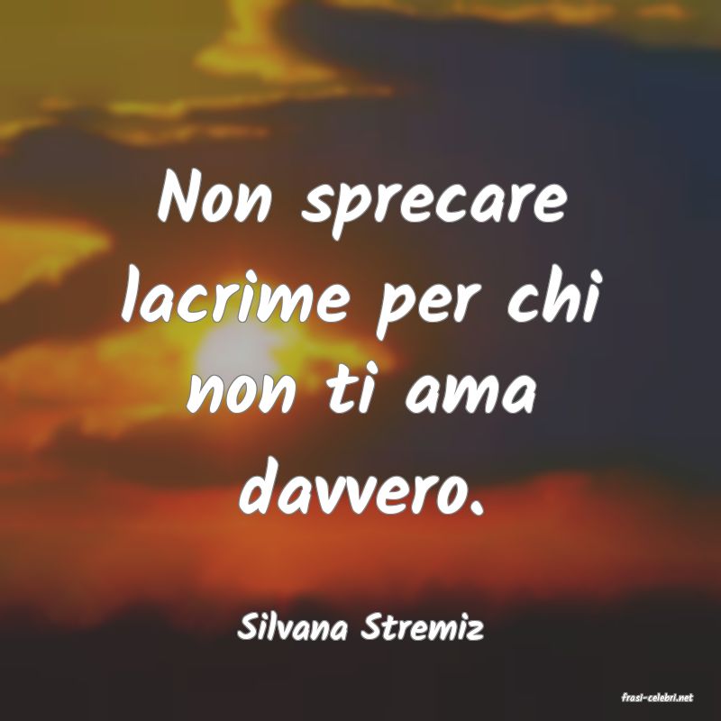 frasi di  Silvana Stremiz
