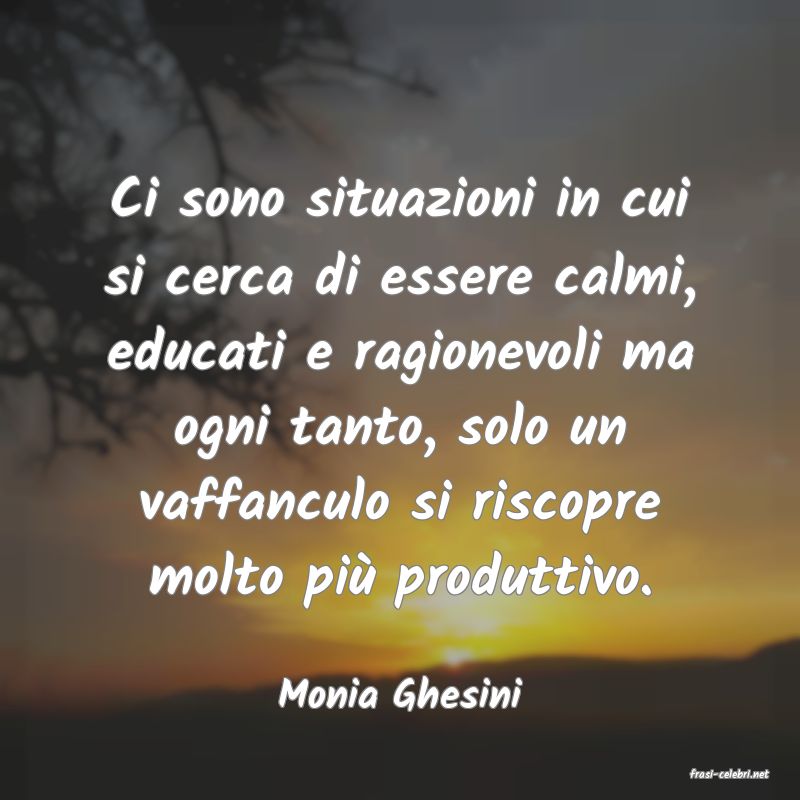 frasi di  Monia Ghesini
