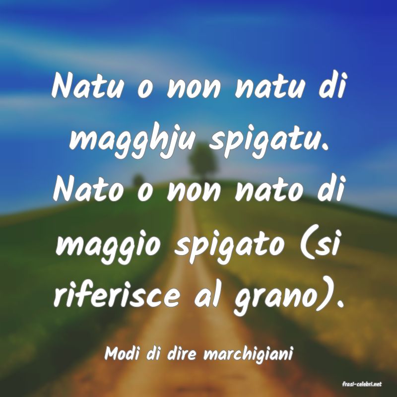 frasi di Modi di dire marchigiani