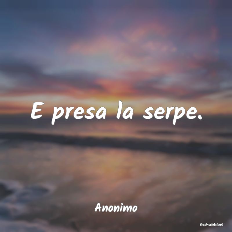 frasi di Anonimo